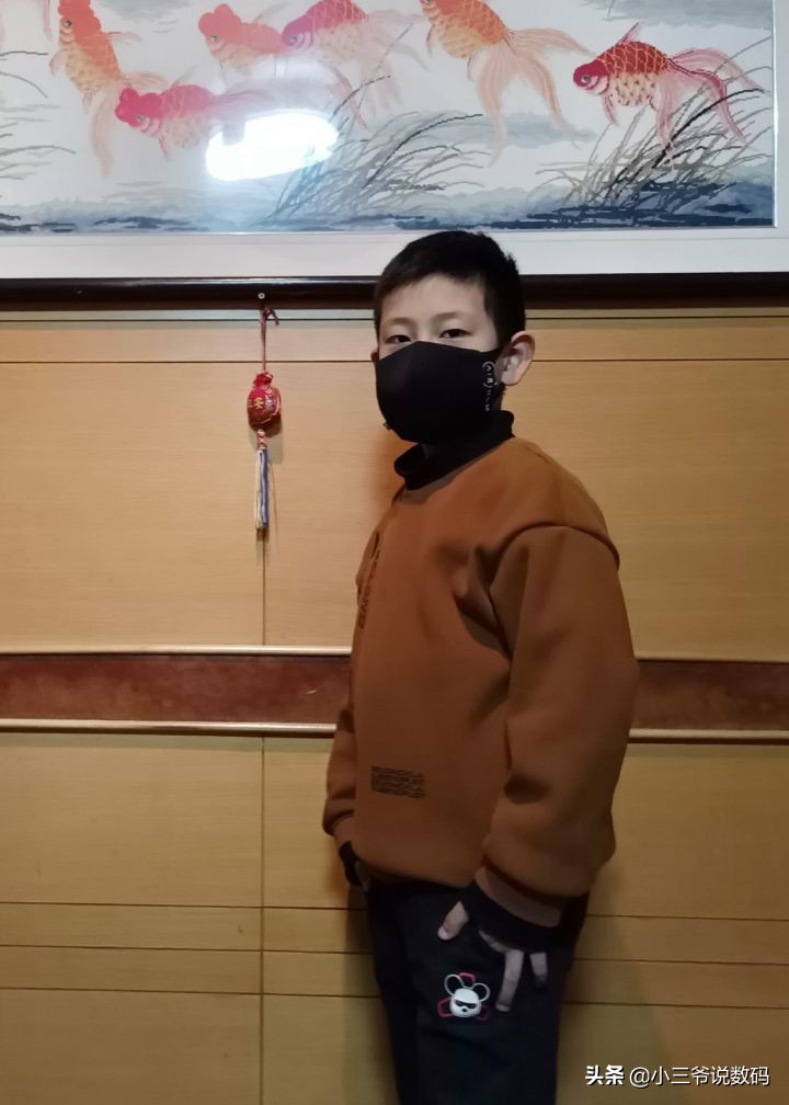 瑞典睿铂口罩怎么样,瑞典睿铂口罩价格表