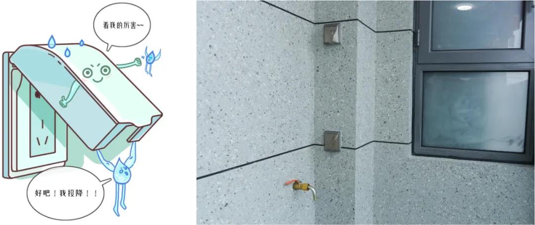 知乎绿城丨阳台之上