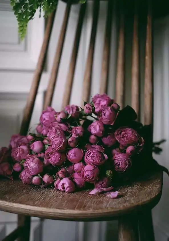 描写月色的散文名篇,散文月色的美感