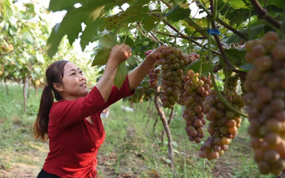 来赴一场雪乡长白山之约,来赴一场冬日的黄金之约