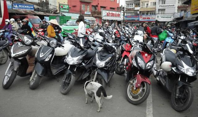 越南游客来中国怎么这么多,去越南旅游的中国游客买买买