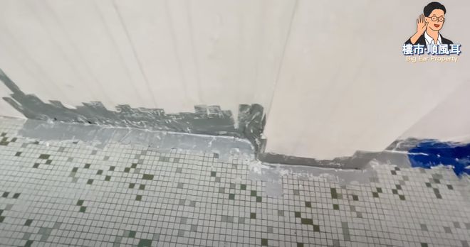 在香港3000块能租到房子吗,在香港月租2w的房子