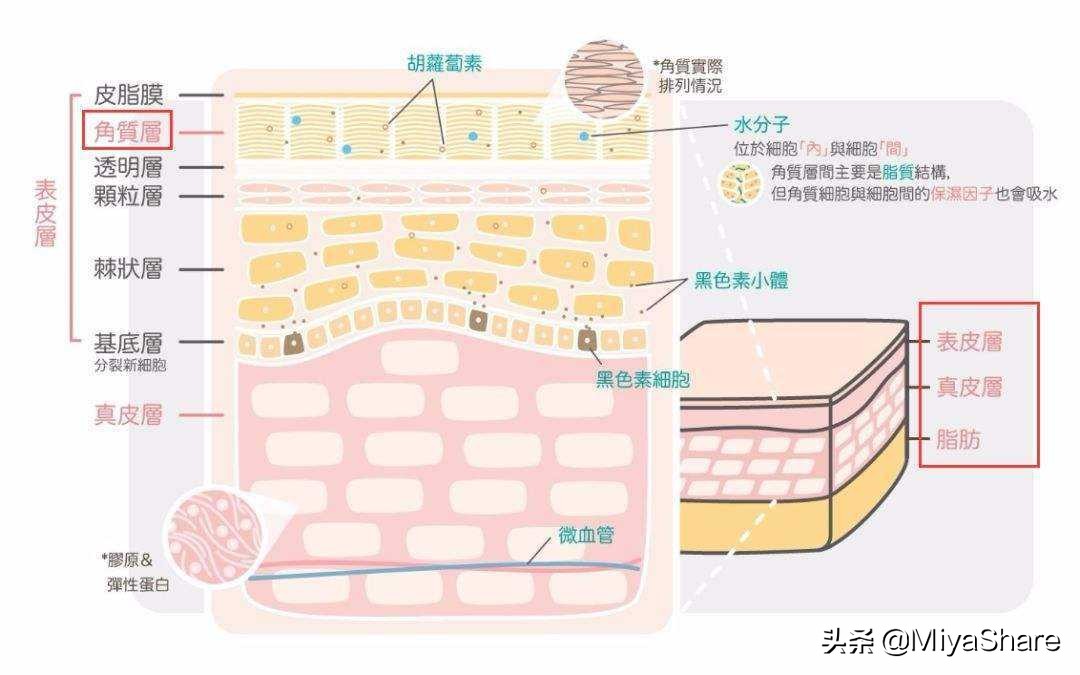 只需简单三步轻松解决长痘烦恼,青春期脸上长痘自卑怎么办