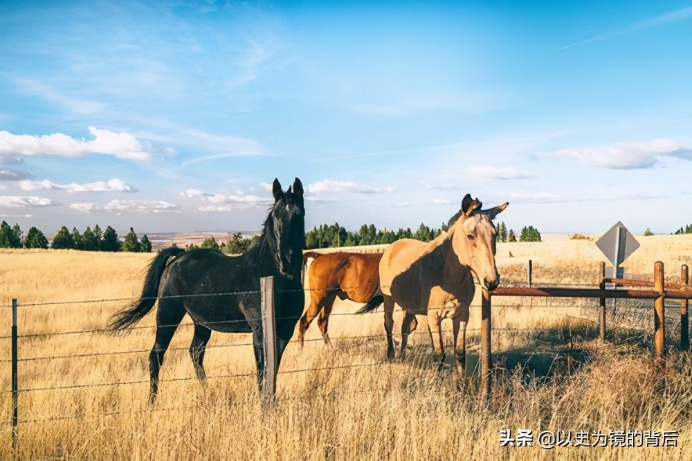 人均GDP8.7万美元、科技发达的俄勒冈州，美国怎么占领这里的