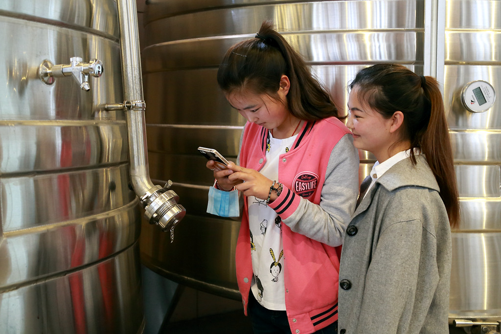 宁夏立兰酒庄价格,宁夏立兰酒庄创始人