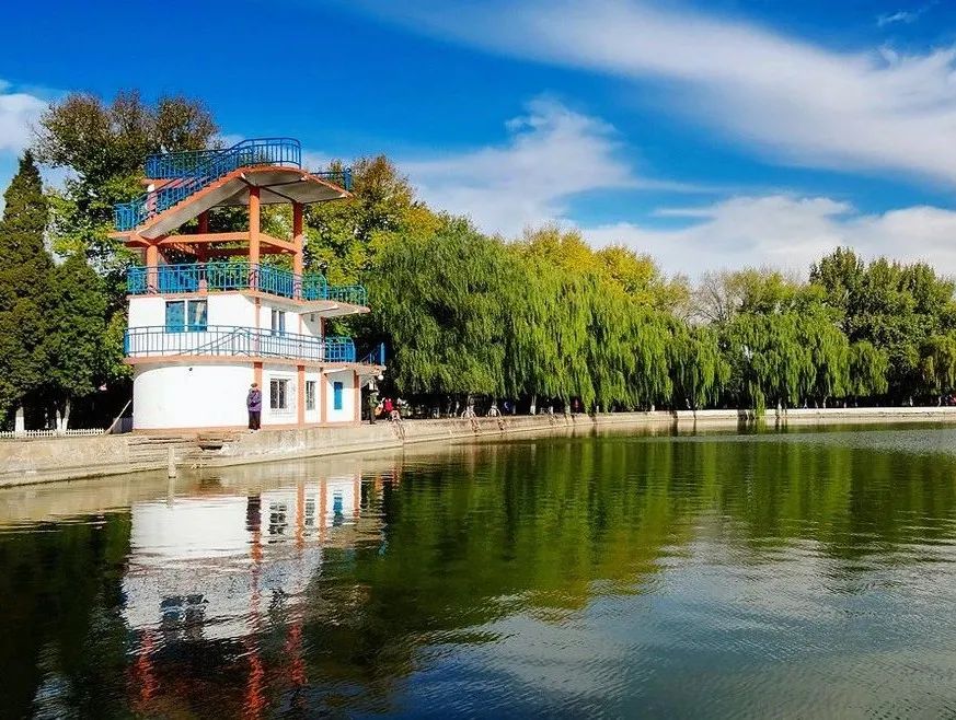 仙鹤起舞水粉画,仙鹤起舞展翅飞