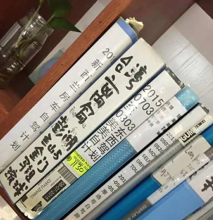 万能张与嬉嬉旅行