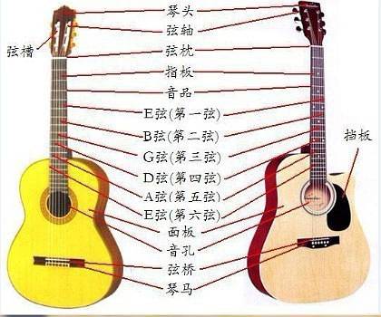 肥肥鱼吉他教程,快速入门吉他教学大章鱼