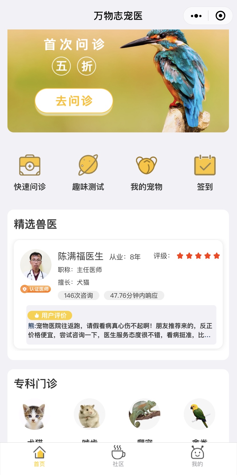 龙猫饲养全科普,科普饲养龙猫小知识