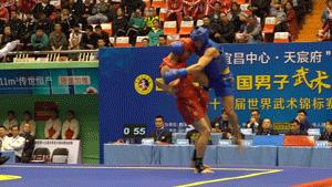 鲁鄂接腿大战，付高峰师弟技高一筹