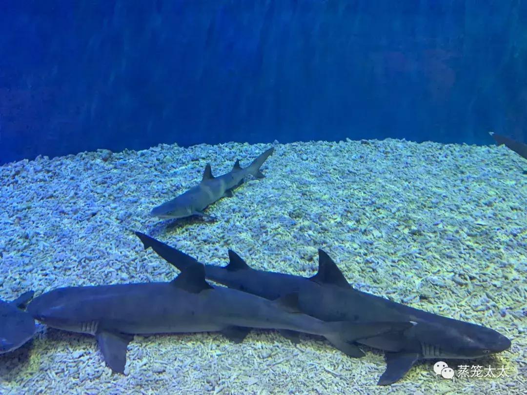 买来的橡皮泥有毒吗,外面买的橡皮泥做手工