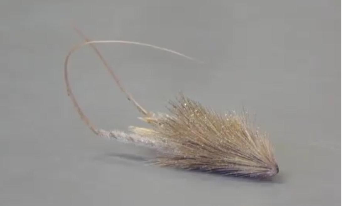 种子的传播方式有哪些和什么有关,种子传播的方式及其特征是什么