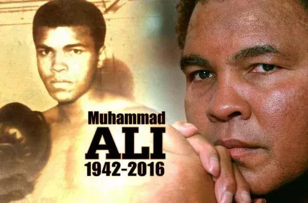 德国特松加,特松加视频