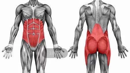 山羊挺身替代动作练背,山羊挺身练下背正确训练方法