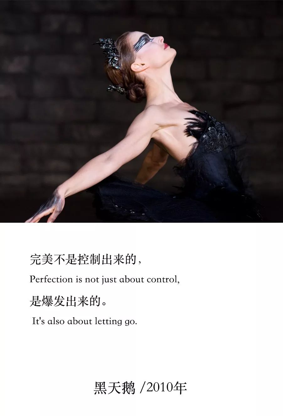 最娇媚的黑天鹅,最美的黑天鹅视频