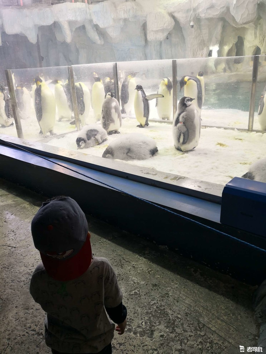 珠海长隆海洋王国亲子游攻略,珠海长隆海洋王国攻略亲子游