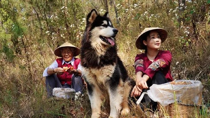 “阿盆姐”让世界迷上了云南，来认识一下这位90后云南妹子的生活