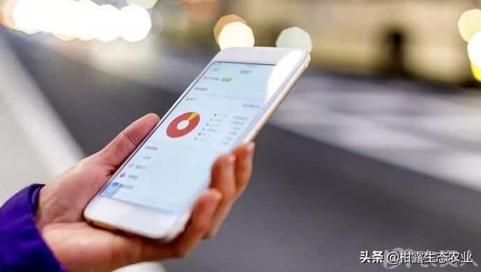 柑橘行情不好时如何卖农药,柑橘销售难对策建议