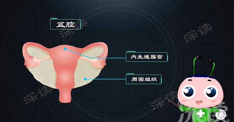 月经不调？怀孕困难？会搞出宫外孕？盆腔炎危害有多大？硬核科普