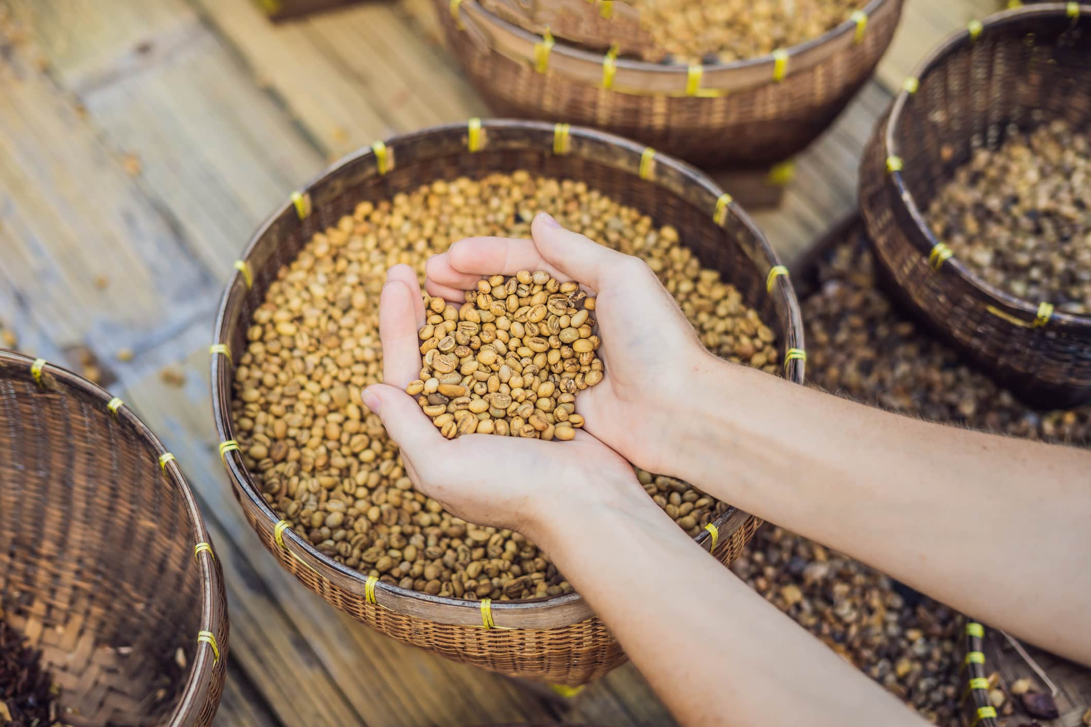 最贵的咖啡猫屎咖啡,世界上最贵的咖啡与最便宜的咖啡