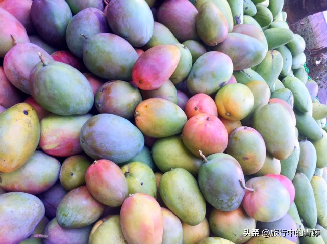 西双版纳热带雨林有什么水果,西双版纳现在有啥好吃的水果