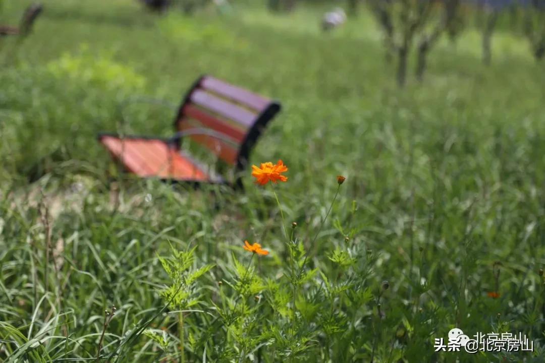 废弃的矿山正在改造成为一座公园,废弃矿坑改造成美丽公园