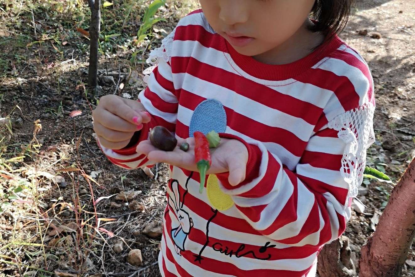 早教对智力的重要性,早教对孩子发育有什么帮助