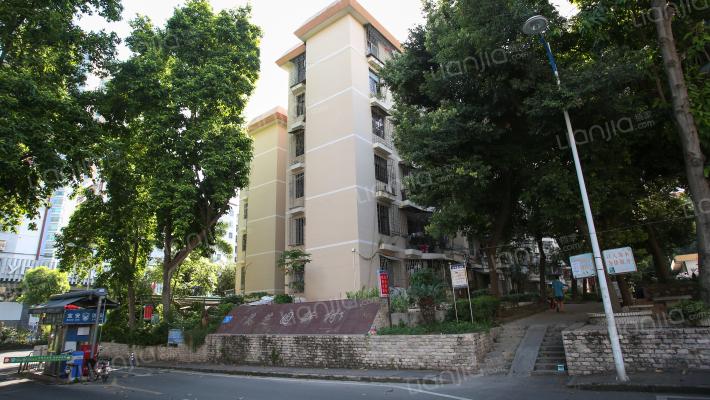 深圳宝安中学实验学校学区房,深圳宝安中学学区房