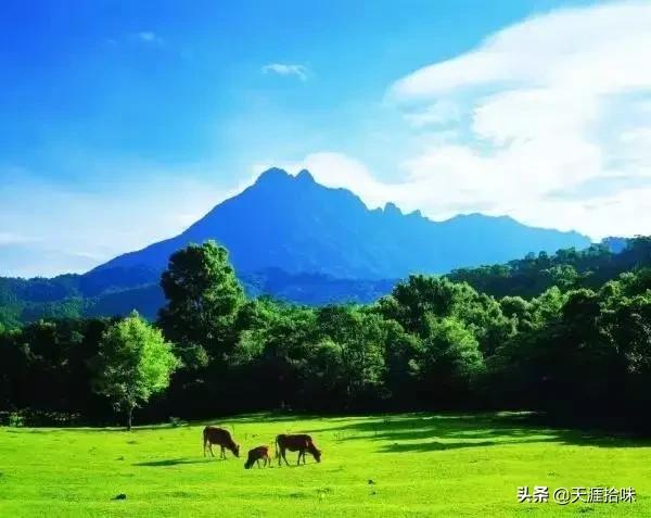 海南19个市县226个旅游景点,海南100个旅游景点