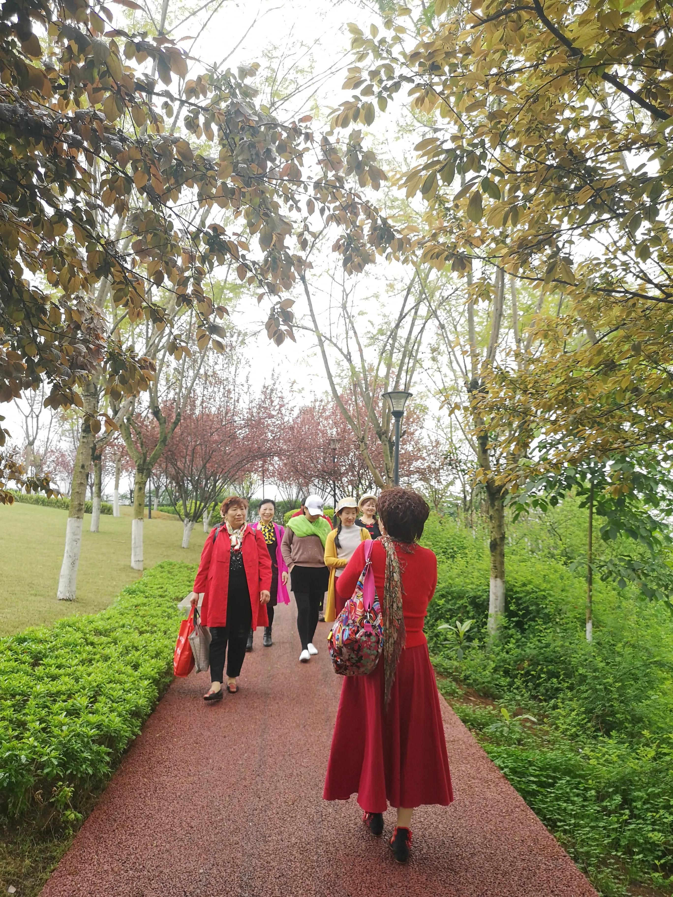 春游和姐妹踏青,春游踏青姐妹拍照