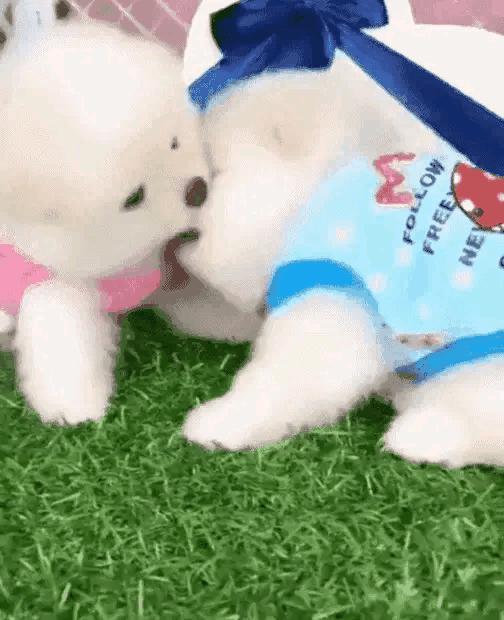 醉八仙酒来历,醉八仙有什么典故