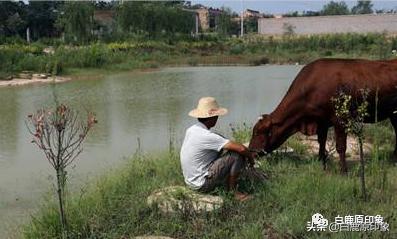白鹿原中的风土人情,白鹿原上的生活记忆