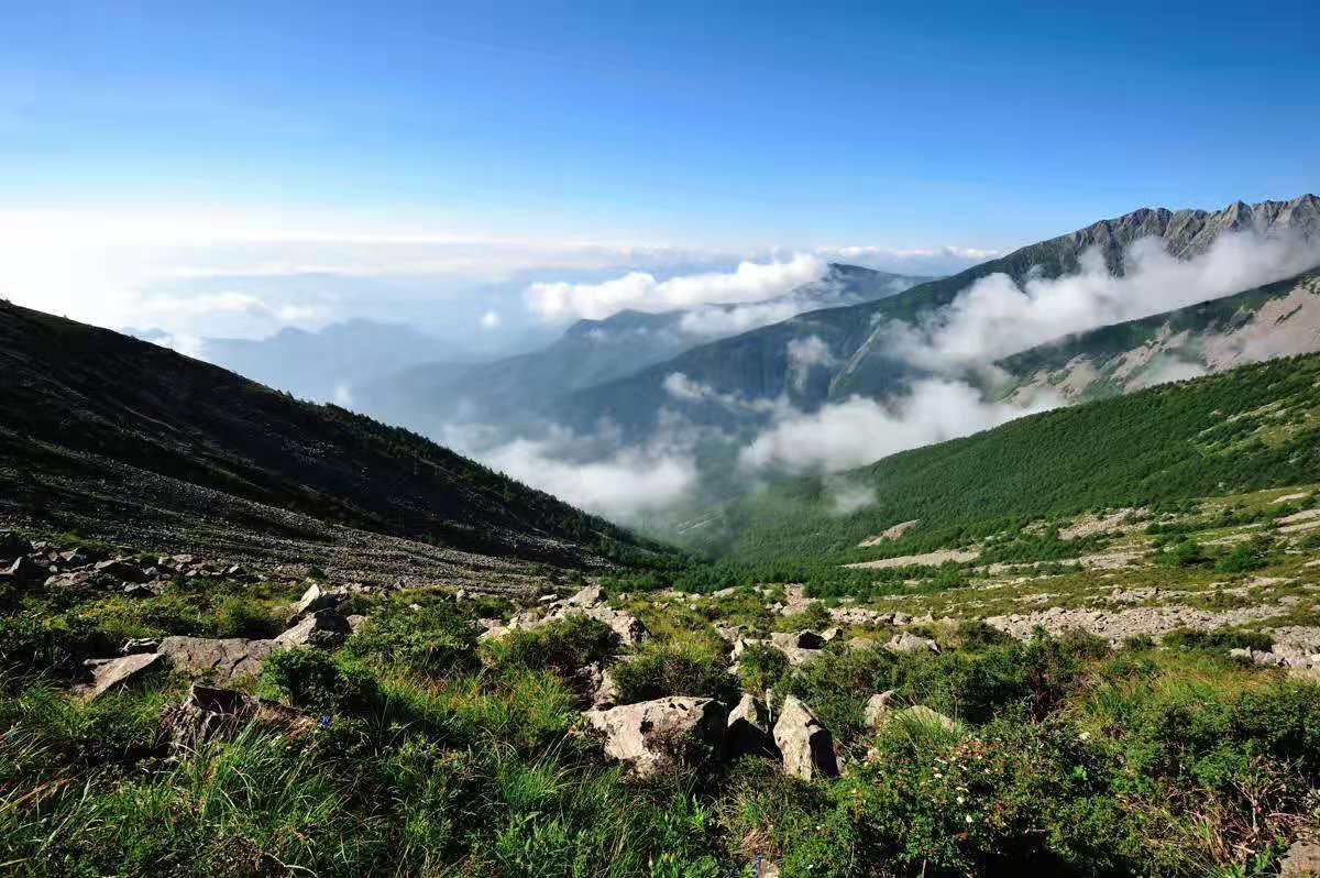 210米的地下轰隆几声闷响,一条水龙从井口呼啸而出!