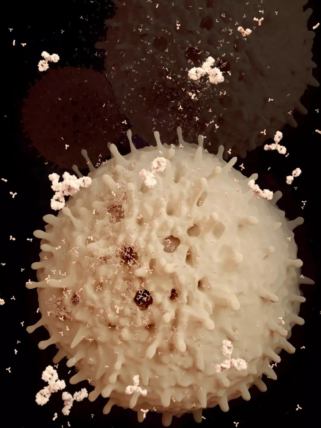 医生和病毒作战,我们如何对付病毒