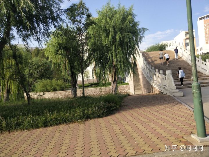 青岛农业大学机械类在哪里就读,青岛农业大学在哪里读