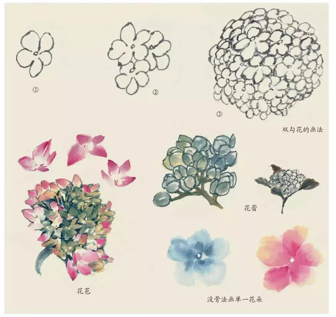 国画中各种花卉的画法,国画花卉画法步骤视频教程