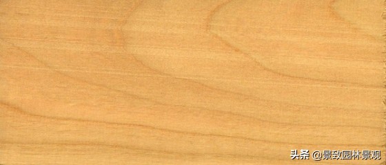 木纹最好看的木材图片,各种木材纹理图片与名称