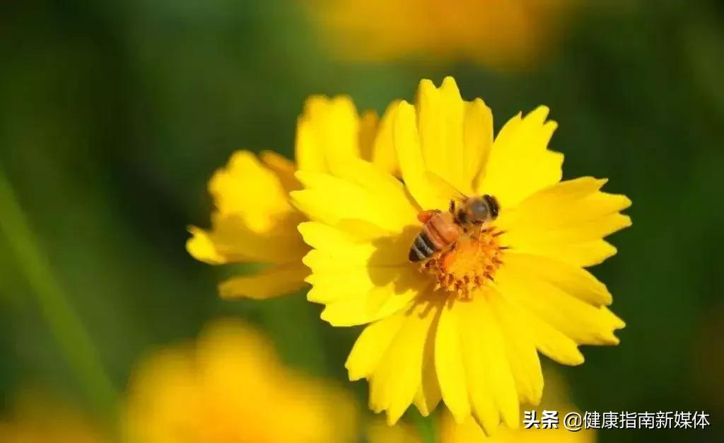 超实用肛肠保健操,专治肛肠病的保健操