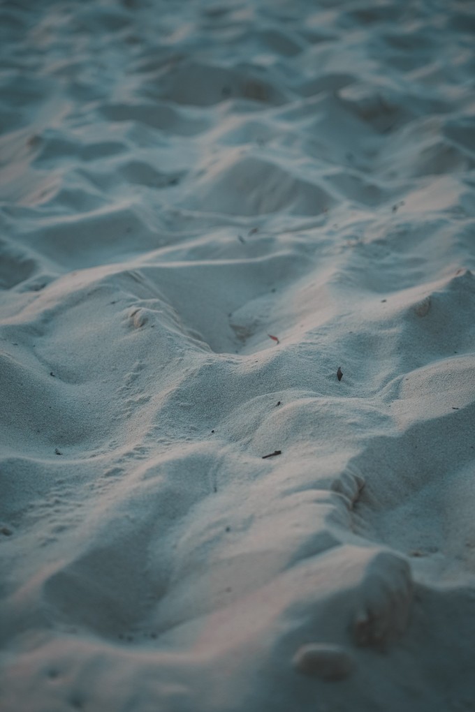 澳洲观鲸攻略,澳洲观鲸之旅