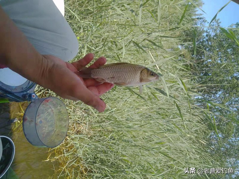 钓鱼时间久不代表能钓到，野钓时用好这些技巧，钓到鱼很轻松