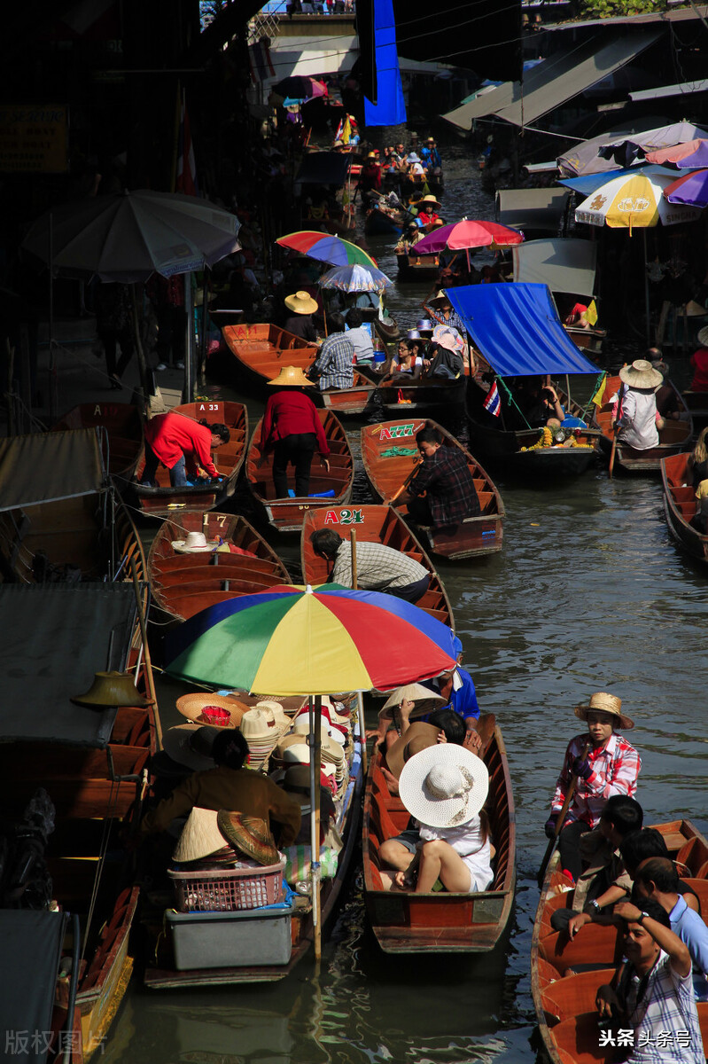 儿子回家修完房子又陪母亲镶牙，母亲只夸儿子孝顺不提儿媳一句好