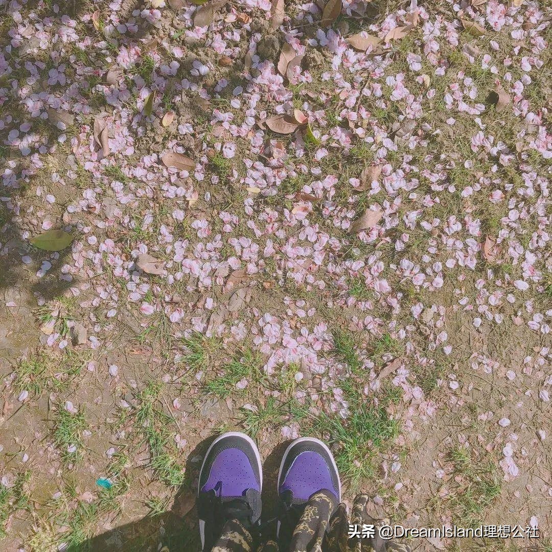 美妆好物狂欢粉底液,适合春天的粉底液