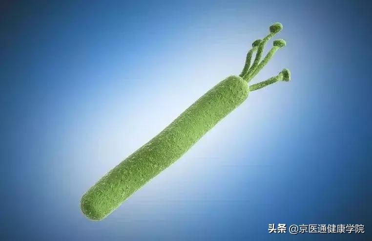 息肉里面是什么东西,息肉大就是恶性的吗