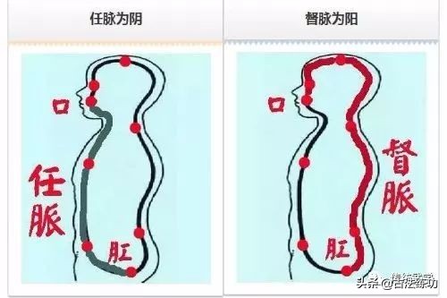 舌抵上腭的位置是什么穴位,舌抵上腭有着不为人知的秘密