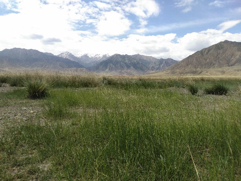 祁连天池在哪,祁连天池风景旅游区路好走不