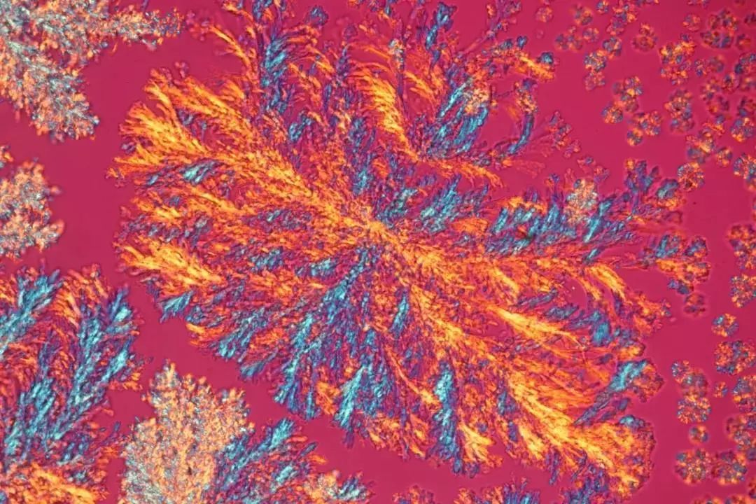 绉戠爺澹佺焊,绉戠爺浜虹殑鏂板勾澹佺焊