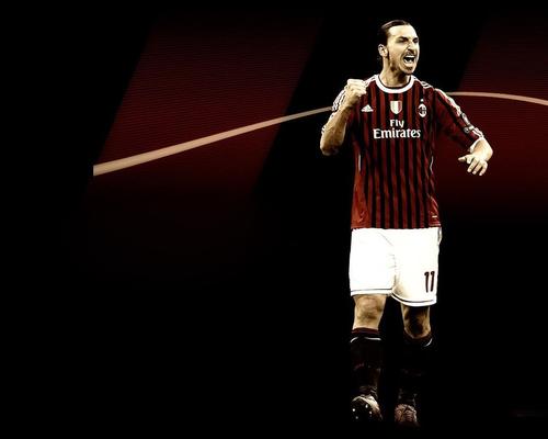 伊布什么时候退役的,伊布何时退役