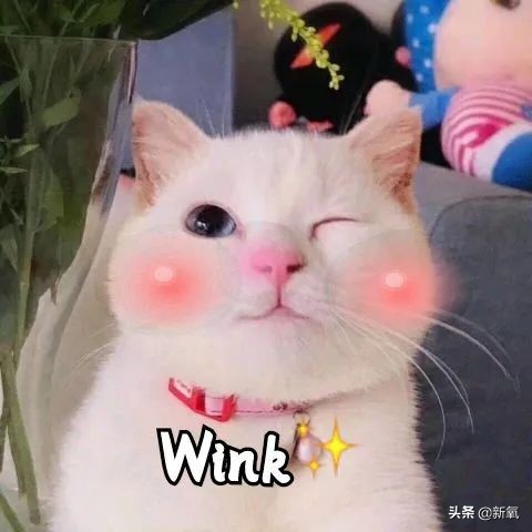 杨超越的眼睛大而无神,杨超越眼神空洞