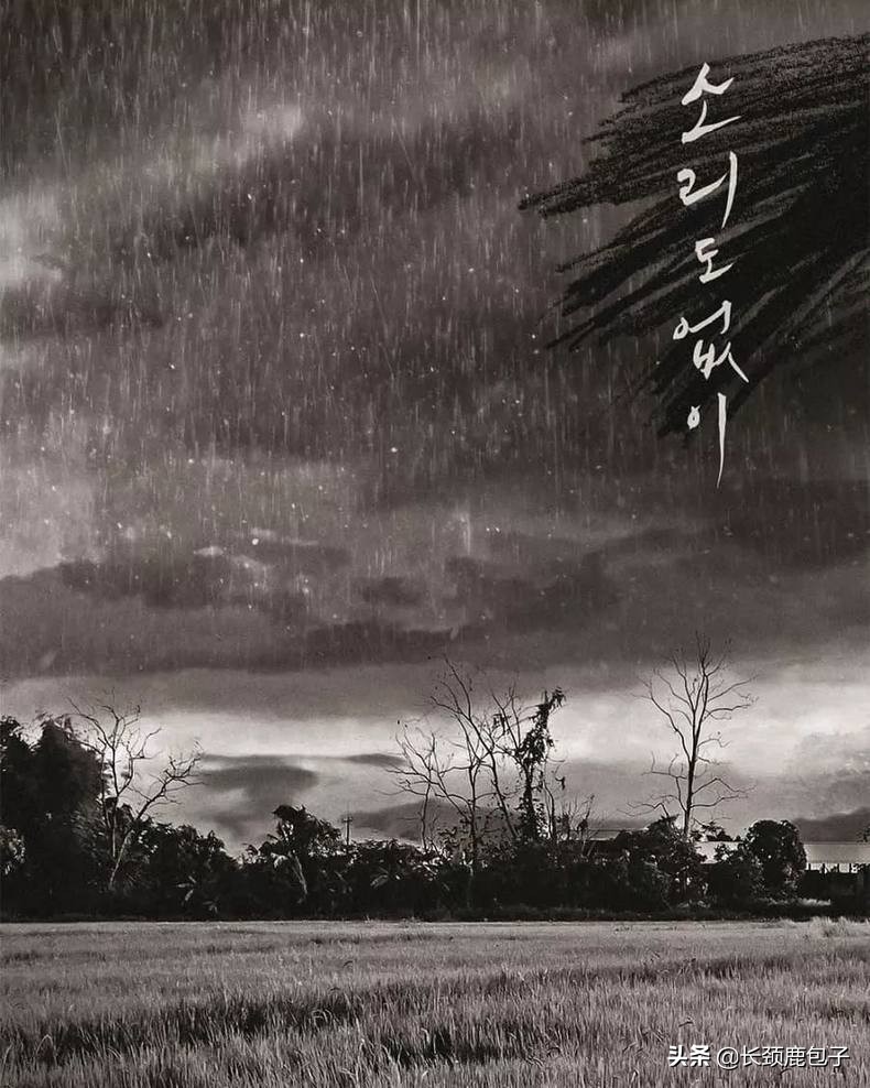 2020十大电影必看动作片,2020十部巅峰片