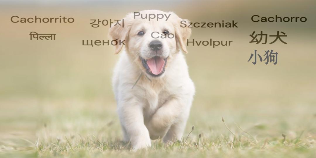 deepmind人工智能新突破,deepmind人工智能技术